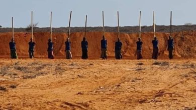 مصر تؤكد دعمها للصومال في جهودها لمكافحة الإرهاب 6 IMG 20240817 WA0002 مصر تؤكد دعمها للصومال في جهودها لمكافحة الإرهاب