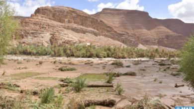 المغرب .. قتلي ومفقودين جراء سيول وأمطار غزيرة ضربت أقاليم المملكة 5 Nouveau projet122 0 المغرب .. قتلي ومفقودين جراء سيول وأمطار غزيرة ضربت أقاليم المملكة