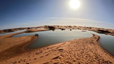 المغرب .. أمطار استثنائية تحيي بحيرات أماتها الجفاف في صحاري جنوب شرق المملكة  5 1000209515 المغرب .. أمطار استثنائية تحيي بحيرات أماتها الجفاف في صحاري جنوب شرق المملكة