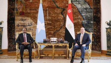 مصر والصومال تؤكدان دعم وحدة واستقلال وسلامة وسيادة جمهورية الصومال الفيدرالية على كامل أراضيها 4 120242115426140 مصر والصومال تؤكدان دعم وحدة واستقلال وسلامة وسيادة جمهورية الصومال الفيدرالية على كامل أراضيها