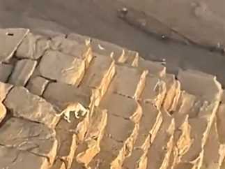 غذاء حصري مع الكلب متسلق الهرم برنامج سياحي تنظمه شركة أمريكية للسياح من امريكا وكندا 1 2511552 0 غذاء حصري مع الكلب متسلق الهرم برنامج سياحي تنظمه شركة أمريكية للسياح من امريكا وكندا