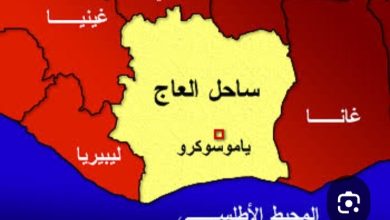 ساحل العاج (كوت ديفوار) تعرف علي أهم 10 معلومات عن هذا البلد 9 IMG ٢٠٢٤١١٣٠ ٠٦٥١٤٤ ساحل العاج (كوت ديفوار) تعرف علي أهم 10 معلومات عن هذا البلد