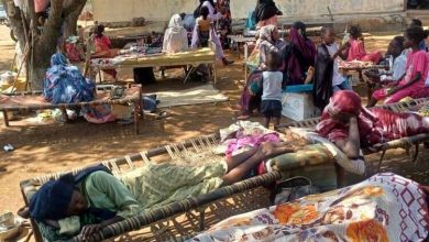 السودان: بعد حصاد محصول السمسم - تفشي مرض الكالازار يهدد النازحين في ولاية القضارف 4 Kala azar patients from Qalaa an Nahl transferred to Bazura Hospital for treatment on Nov 25 2024 2 750x485 1 السودان: بعد حصاد محصول السمسم - تفشي مرض الكالازار يهدد النازحين في ولاية القضارف