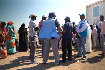 شهادات صادمة لنازحي ولاية الجزيرة السودانية: اضطررنا للفرار بسبب القتل والاغتصاب والنهب 1 شهادات صادمة لنازحي ولاية الجزيرة السودانية: اضطررنا للفرار بسبب القتل والاغتصاب والنهب