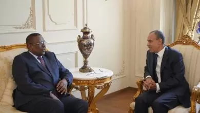 449836501 795828826060299 5334525696334079946 n وزير الخارجية المصري إلي نجامينا .. وسياسي تشادي : العلاقات المصرية التشادية تاريخية