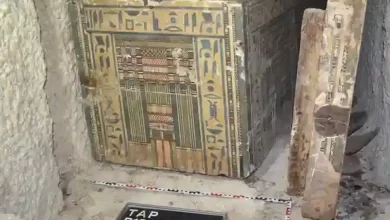 مصر: اكتشاف مقبرة الكاهنة " إيدي" بأسيوط المصرية ومفأجاة كانت في انتظار علماء الآثار 5 71145887 803 مصر: اكتشاف مقبرة الكاهنة " إيدي" بأسيوط المصرية ومفأجاة كانت في انتظار علماء الآثار