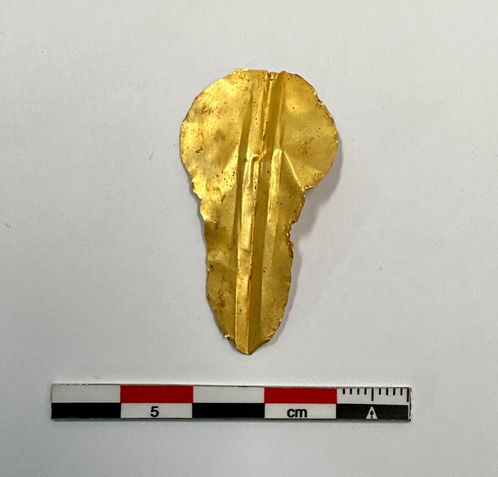 IMG 20241214 WA0012 « ألسنة وأظافر ذهبية » .. مصر تعلن عن تفاصيل كشف أثري نادر 