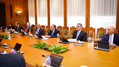 وزير خارجية الصومال : شكرا مصر 6 IMG 20241223 WA0028 وزير خارجية الصومال : شكرا مصر