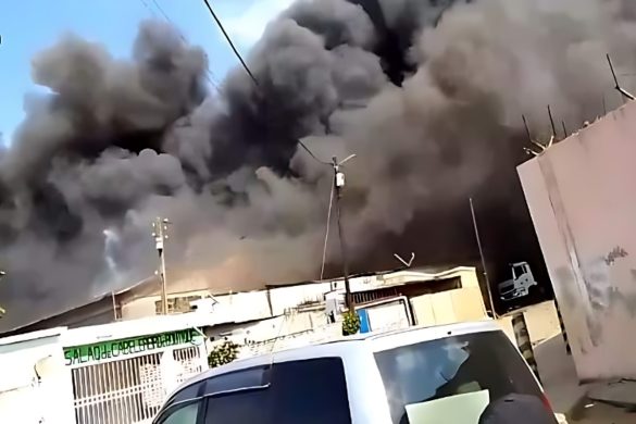 موزمبيق: تنزلق نحو الإضطرابات و إرتفاع عدد القتلي بين المدنيين والعسكريين 1 IMG 20241226 094310 1200 x 800 pixel 585x390 1 موزمبيق: تنزلق نحو الإضطرابات و إرتفاع عدد القتلي بين المدنيين والعسكريين