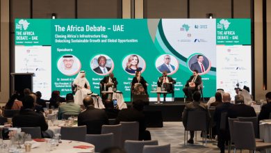 ربط الاستثمار بالطاقة الإفريقية في باريس 3 insights 3 1024x693 1 ربط الاستثمار بالطاقة الإفريقية في باريس