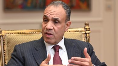 حوار وزير الخارجية محمد شكري الجرنوسي142 1 تقرير دولي : نشاط كبير للدبلوماسية المصرية مع تفاقم أزمات الشرق الأوسط