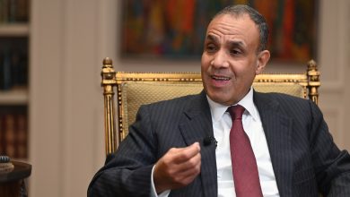حوار وزير الخارجية محمد شكري الجرنوسي151 اتصالات مكثفة لوزير الخارجية المصري بشأن تنفيذ مخرجات قمة القاهرة الطارئة وخطة إعادة إعمار غزة