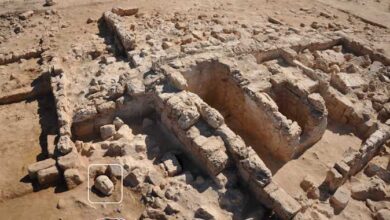 مصر: كشف أثري جديد لرأس بطلمي من القرن الـ7 الميلادي بالإسكندرية 6 2585078 0 مصر: كشف أثري جديد لرأس بطلمي من القرن الـ7 الميلادي بالإسكندرية