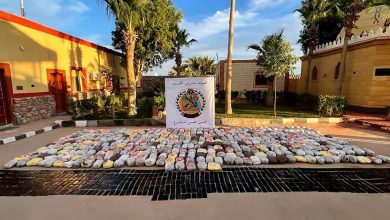 قوات حرس الحدود تحبط محاولة تهريب كميات كبيرة من المواد المخدرة عبر خليج السويس 7 IMG 20250106 WA0019 قوات حرس الحدود تحبط محاولة تهريب كميات كبيرة من المواد المخدرة عبر خليج السويس