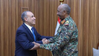 مصر تؤكد تضامنها الكامل مع السودان ودعمها لاستقراره وأمنه  5 IMG 20250115 WA0004 مصر تؤكد تضامنها الكامل مع السودان ودعمها لاستقراره وأمنه