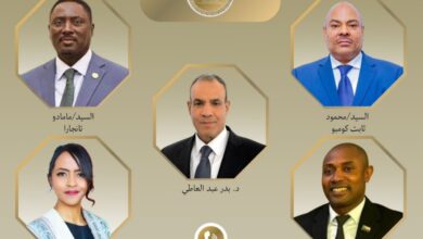 IMG ٢٠٢٥٠١٢٤ ١٨٣٧١٠ اتصالات مكثفة لوزير الخارجية المصري مع عدد من نظرائه الأفارقة