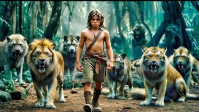 زيمبابوي: نجاة طفل 7 سنوات بعد أن أمضى 5 أيام بمفرده في حديقة تسكنها الأسود والفيلة 5 hq720 1 زيمبابوي: نجاة طفل 7 سنوات بعد أن أمضى 5 أيام بمفرده في حديقة تسكنها الأسود والفيلة