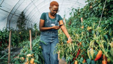 نيجيريا .. "أرتيل " للاتصالات تتصدر أكبر 10 شركات من حيث القيمة السوقية  2 slider1 نيجيريا .. "أرتيل " للاتصالات تتصدر أكبر 10 شركات من حيث القيمة السوقية