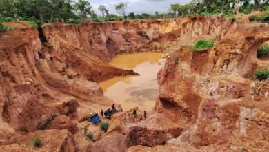 كوت ديفوار: اكتشاف ذهب كثيف من نوعية بونانزا بنسبة تبلغ 22 جرامًا للطن 7 17c621a965db65fd2a68446f35d1ad5f7142d2b2 كوت ديفوار: اكتشاف ذهب كثيف من نوعية بونانزا بنسبة تبلغ 22 جرامًا للطن