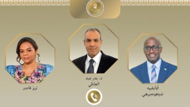 7c4040ad 32c6 401a 9df5 429b4172a4ec مصر تبدي استعدادها لتقديم أى دعم ممكن للتخفيف من حدة الأزمة في شرق الكونغو