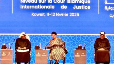 FB IMG 1740414521000 نميرة نجم: نحتاج كافة الوسائل للتصدى لمحاولات هدم نظام القانوني الدولى