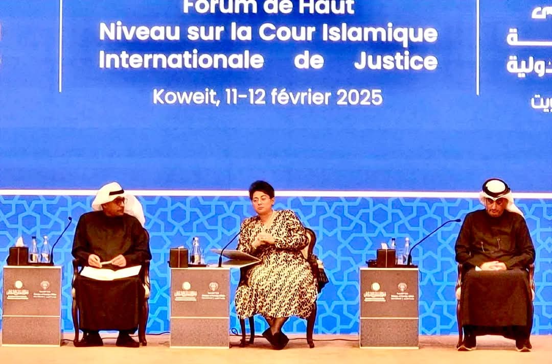نميرة نجم: نحتاج كافة الوسائل للتصدى لمحاولات هدم نظام القانوني الدولى 1 FB IMG 1740414521000 نميرة نجم: نحتاج كافة الوسائل للتصدى لمحاولات هدم نظام القانوني الدولى