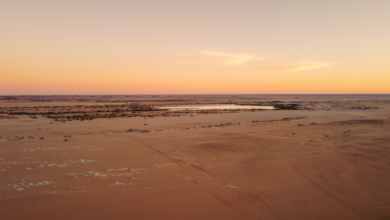 dji 0887 1920 بعضها مصاب بطلقات نارية .. العثور علي جثث عشرات المهاجرين في مقبرتين جماعيتين بليبيا