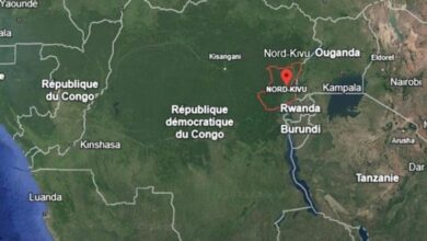 nordkivu 768x488 1 الكونغو الديمقراطية: مجموعة الـ 7 والكنائس يدينون تجاوزات M23 