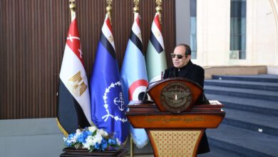 481711854 1199916098163783 5442362078451340457 n الرئيس السيسي: مصر تستهدف تهدئة الصراعات ونميل دائما إلى خيار السلام