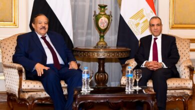 مصر تؤكد دعمها للمؤسسات الوطنية السودانية وجهودها لاستعادة الاستقرار في السودان 13 IMG 20250328 WA0000 مصر تؤكد دعمها للمؤسسات الوطنية السودانية وجهودها لاستعادة الاستقرار في السودان