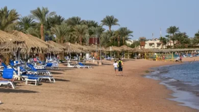 ria 5794101mr820 مصر تحتل المركز الاول في حجوزات شهر مارس في السوق الروسي