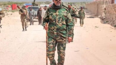 رئيس الجمهورية 11 الشيخ محمد بن زايد يطمئن علي سلامة الرئيس الصومالي .. وادانات عربية لاستهداف موكب شيخ محمود 