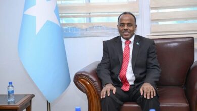 وزير الدولة بالخارجية 860x573 1 الصومال يشدد على أهمية التعاون مع الإمارات