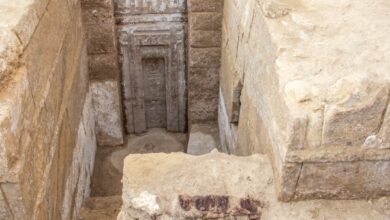 مصر تعلن عن تفاصيل كشف أثري جديد .. « سقارة » تبوح بأسرارها 3 IMG 20250418 WA0034 مصر تعلن عن تفاصيل كشف أثري جديد .. « سقارة » تبوح بأسرارها