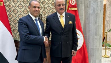 IMG 20250418 WA0036 تفاصيل مباحثات وزيري خارجية مصر وتونس