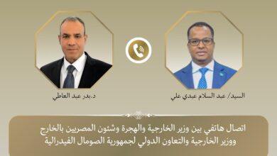 IMG 20250429 WA0001 تفاصيل أول اتصال هاتفي بين وزير الخارجية المصري ونظيره الصومالي الجديد 