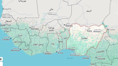 نيجيريا : نسعى للتعاون مع دول الساحل وغرب إفريقيا لضمان مراقبة أكثر فاعلية للحدود 5 Screenshot 2025 04 02 134947 نيجيريا : نسعى للتعاون مع دول الساحل وغرب إفريقيا لضمان مراقبة أكثر فاعلية للحدود