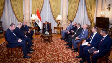 d45676df 358b 484a 88af dc2c230def23 وزير الخارجية المصري : أوهام القوة لن تساعد اسرائيل في تحقيق الأمن لها كما تتصور