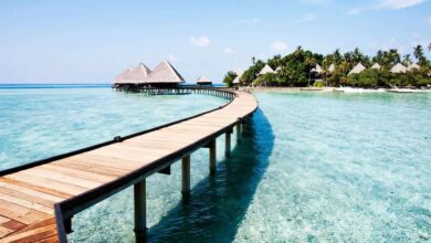 بارومتر السياحة العالمية : أكثر من 300 مليون سائح في الـ 3 أشهر  الأولى من عام 2025 بزيادة 14 مليونًا عن نفس الفترة من 2024 3 السياحة في ساحل العاج بارومتر السياحة العالمية : أكثر من 300 مليون سائح في الـ 3 أشهر  الأولى من عام 2025 بزيادة 14 مليونًا عن نفس الفترة من 2024