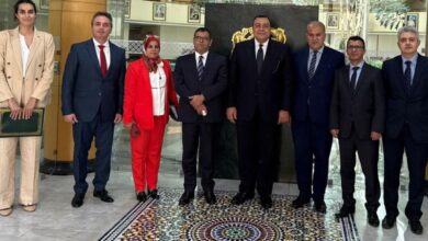 FB IMG 1746272425659 مشاورات سياسية بين مصر والمغرب بالرباط