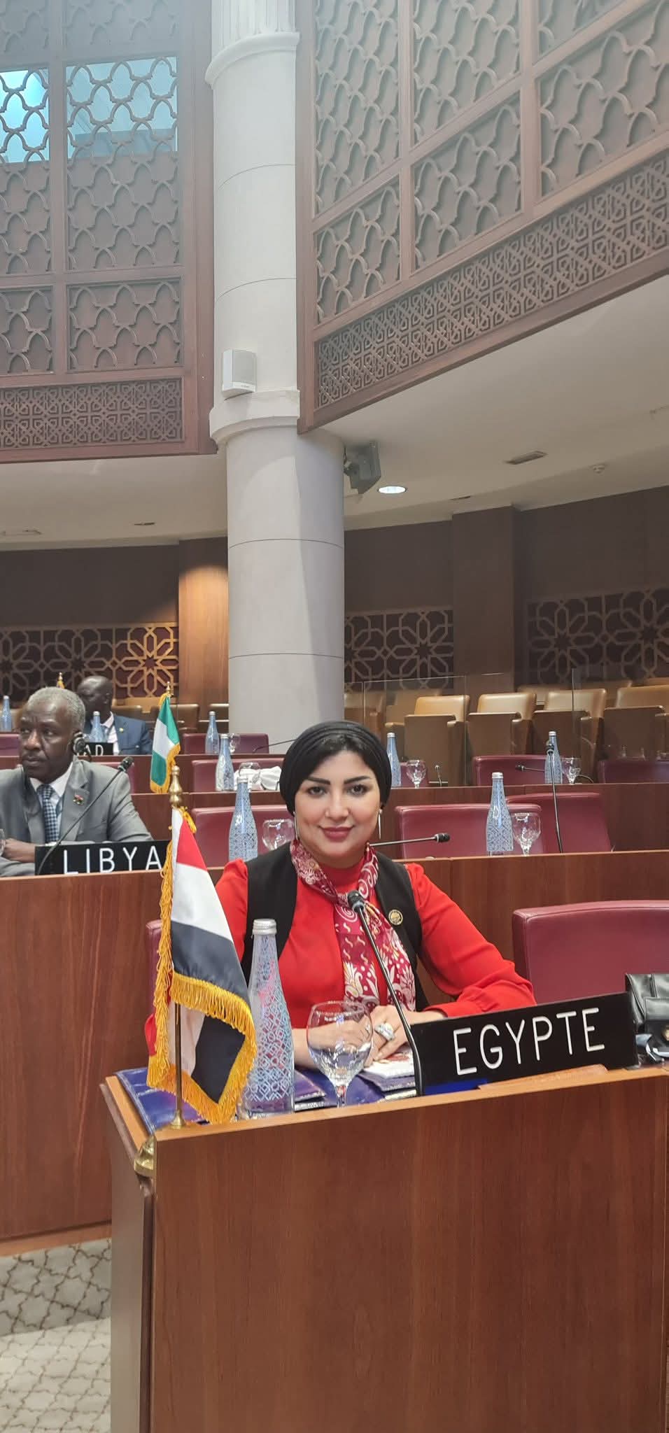 FB IMG 1747854368626 النائبة رشا أبو شقرة تشارك في اجتماعات « تنفيذية الاتحاد البرلماني الإفريقي » 