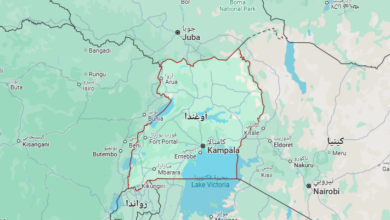 6 معلومات عن أوغندا .. لؤلؤة إفريقيا الخضراء التي تخبئ كنوز الطبيعة والمغامرة 4 Screenshot 2025 05 05 212802   6 معلومات عن أوغندا .. لؤلؤة إفريقيا الخضراء التي تخبئ كنوز الطبيعة والمغامرة