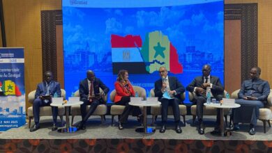 بعثة تجارية هندسية إلى السنغال لتعزيز الصادرات المصرية 6 b77d176f 3e73 47a4 8d74 51d3286ac647 1 بعثة تجارية هندسية إلى السنغال لتعزيز الصادرات المصرية