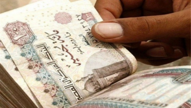 مصر ضمن قائمة أعلى 10 دول أفريقية في نمو نصيب الفرد من الناتج المحلي 3 ccea9d1e 65a1 47c6 9b8a 6811bb5fe5bf مصر ضمن قائمة أعلى 10 دول أفريقية في نمو نصيب الفرد من الناتج المحلي