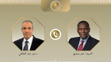 f99af39a 5684 4242 b297 d6d890fc7643 تفاصيل أول اتصال هاتفي بين وزير الخارجية المصري ونظيره السوداني الجديد
