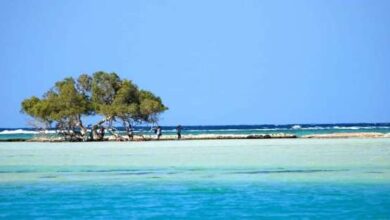 مرسى علم تدعو لزيادة توفير الطاقة الكهربائية لتغطية الزيادة المرتقبة في الغرف الفندقية  3 14642972971682871273 مرسى علم تدعو لزيادة توفير الطاقة الكهربائية لتغطية الزيادة المرتقبة في الغرف الفندقية