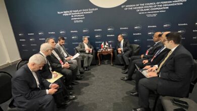 267ab66c 5dd4 49fd bc04 f42bf15f5473 تفاصيل لقاء وزير الخارجية المصري بوزير خارجية إيران في اسطنبول