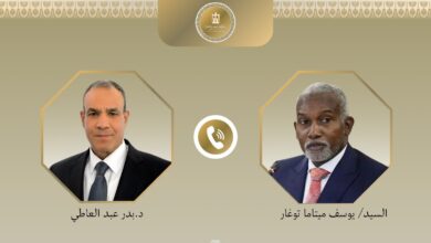 وزيرا خارجية مصر ونيجيريا يبحثان هاتفيا تنسيق المواقف داخل الاتحاد الإفريقي لتعزيز السلم والأمن في القارة 4 77230f5d e5a7 4ed3 acca 6665583bc3c8 وزيرا خارجية مصر ونيجيريا يبحثان هاتفيا تنسيق المواقف داخل الاتحاد الإفريقي لتعزيز السلم والأمن في القارة