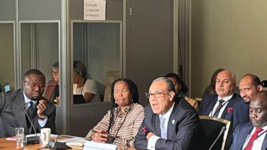 89f1f337 feb6 4a01 bca7 d5443fd73201 وزير الخارجية المصري يشارك في جلسة حول تحقيق السلام في إفريقيا ضمن فعاليات منتدى أوسلو