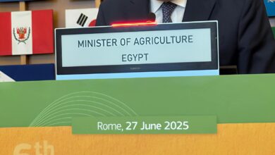 الفاو ..  وزير الزراعة المصري يدعو لتعزيز الشراكة الأفريقية الأوروبية لمواجهة تحديات الأمن الغذائي وتغير المناخ 3 FB IMG 1751037342445 الفاو ..  وزير الزراعة المصري يدعو لتعزيز الشراكة الأفريقية الأوروبية لمواجهة تحديات الأمن الغذائي وتغير المناخ